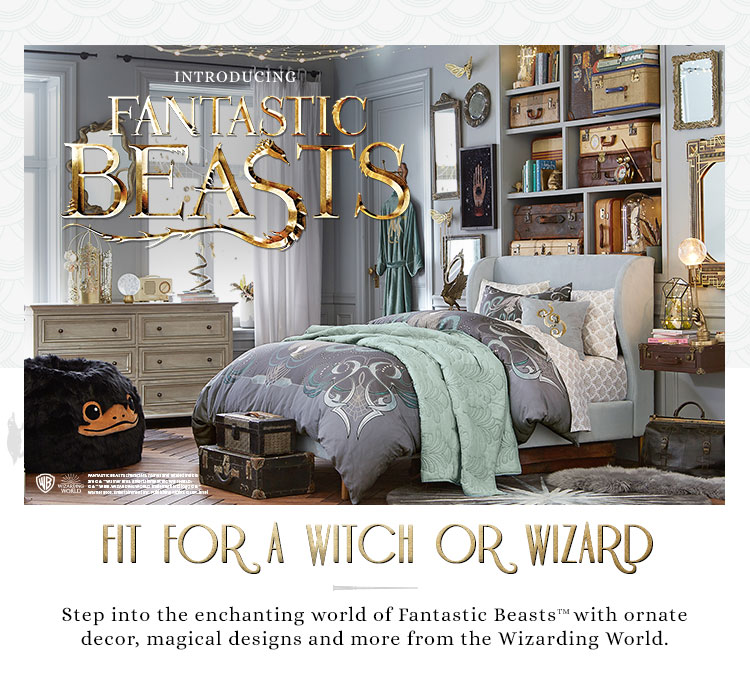 Fantastic Beasts Pottery Barn Teen