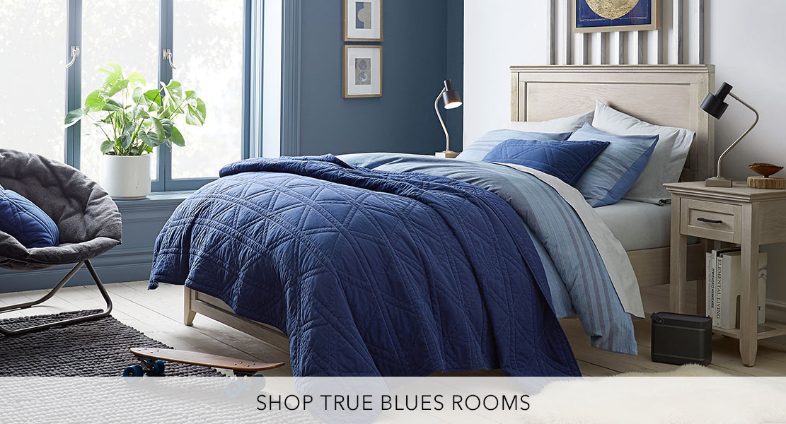 Teen Bedding, Furniture & Decor for Teen Bedrooms & Dorm Rooms PBteen