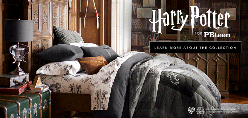 Harry Potter Pbteen Now