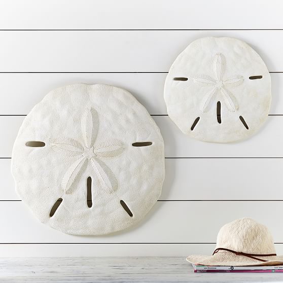 Resin Sand Dollar Decor, Set Of 2 PBteen