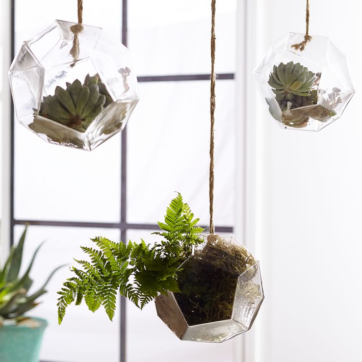 Hanging Glass Terrarium PBteen - Hanging Glass Terrarium PBteen