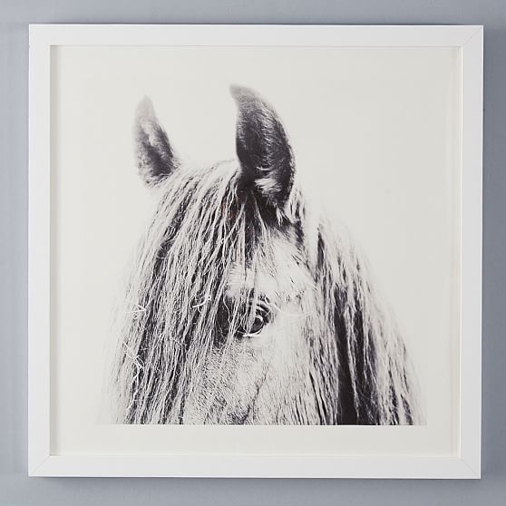 Sundance Wall Art by Minted® PBteen