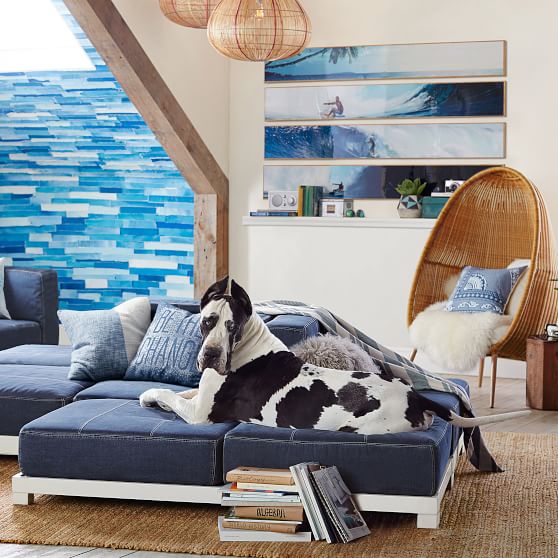 Woven Cave Chair | PBteen