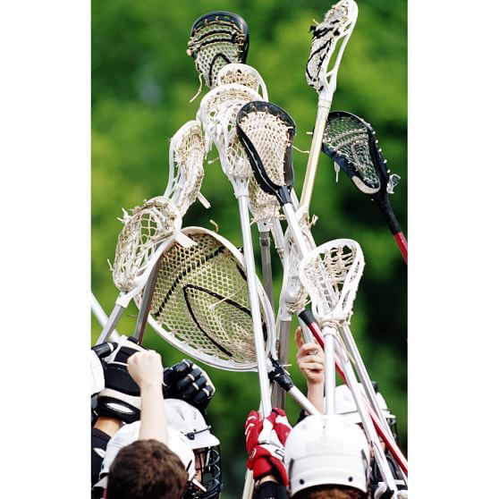 Lacrosse Wall Mural PBteen