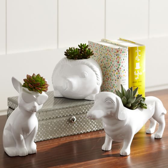 Novelty Planters PBteen