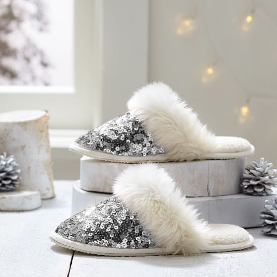 silver slippers