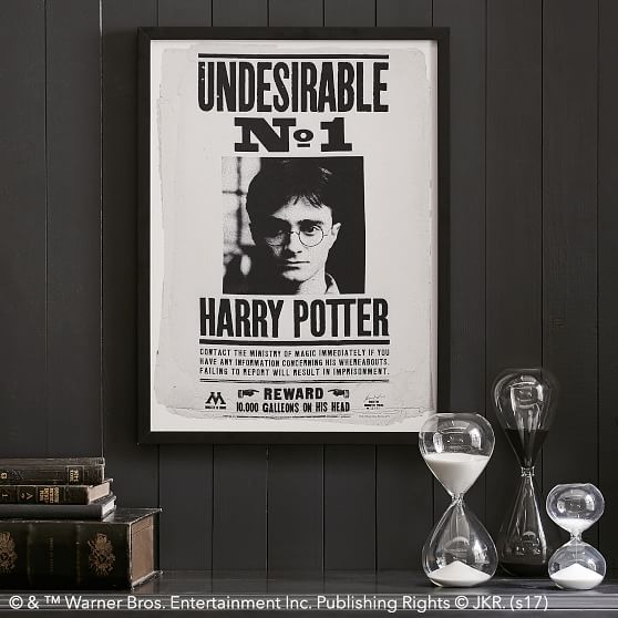 HARRY POTTER™ Framed Undesirable Art, 18"x24" PBteen