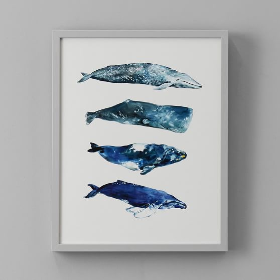 Whales Framed Art By Minted Pbteen Whales Framed Art By Minted