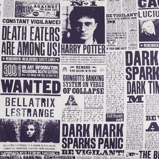 HARRY POTTER™ DAILY PROPHET™ Sheet Set PBteen