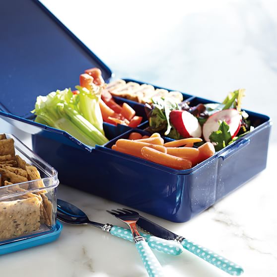 Bento Box Lunch Container PBteen