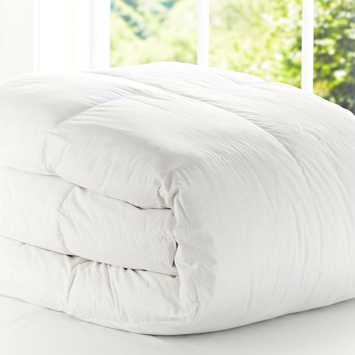 Classic Down Duvet Insert Pbteen