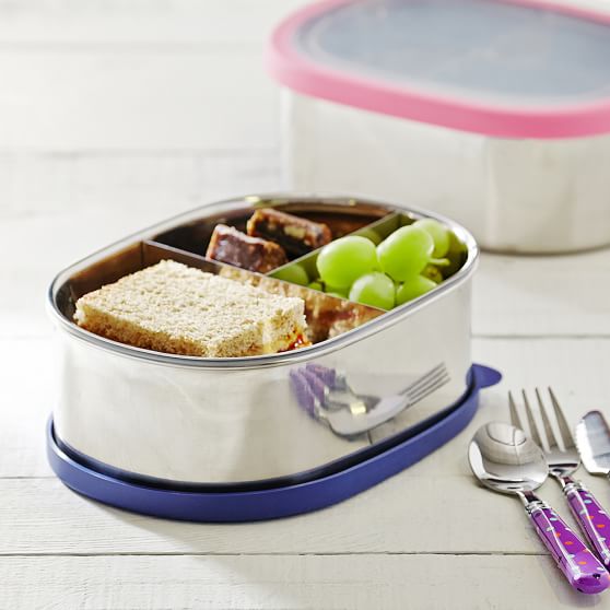 Stainless Steel Bento Box Lunch Container Pottery Barn Teen