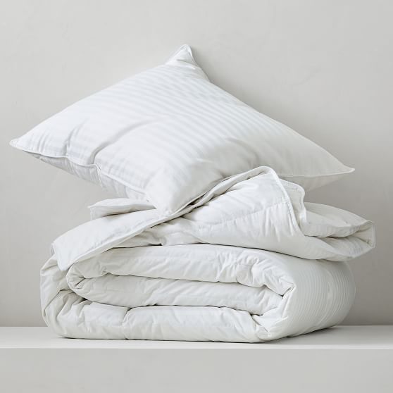 Premium Down Pillow Insert Pottery Barn Teen