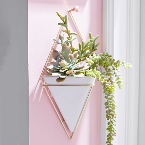 Umbra Trigg Small Wall Vessels Set Of 2 Dorm Decor