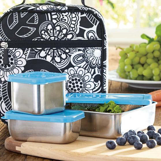 Stainless Steel Lunch Containers Pottery Barn Teen