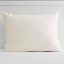 12 X 24 Standard Pillow Pillow Insert Basics Pottery Barn Teen