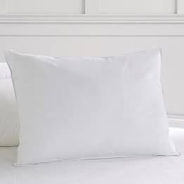 12 X 24 Standard Pillow Pillow Insert Basics Pottery Barn Teen