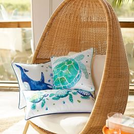 Decorative Pillow Boys Throw Pillows Pottery Barn Teen