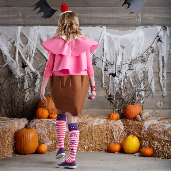 Cupcake Teen Halloween Costume Pottery Barn Teen