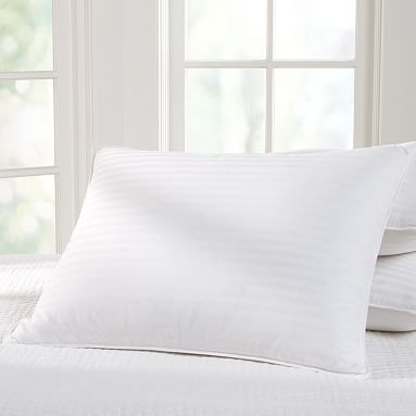 Premium Down Pillow Insert Pottery Barn Teen