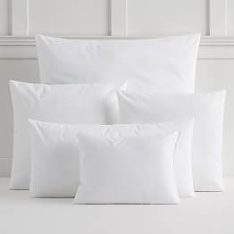 16 X 16 26 X 26 Pillow Insert Basics Pottery Barn Teen