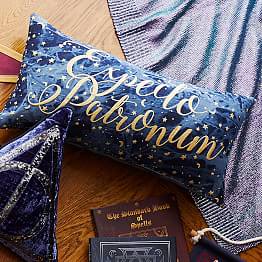 12x24 Pillow Cover Pottery Barn Teen