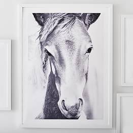 Room Accents Wall Art Gemma Hampton Bedroom Pottery Barn Teen