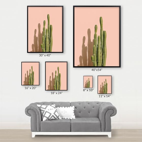 Palm Desert Cactus Framed Art By Minted