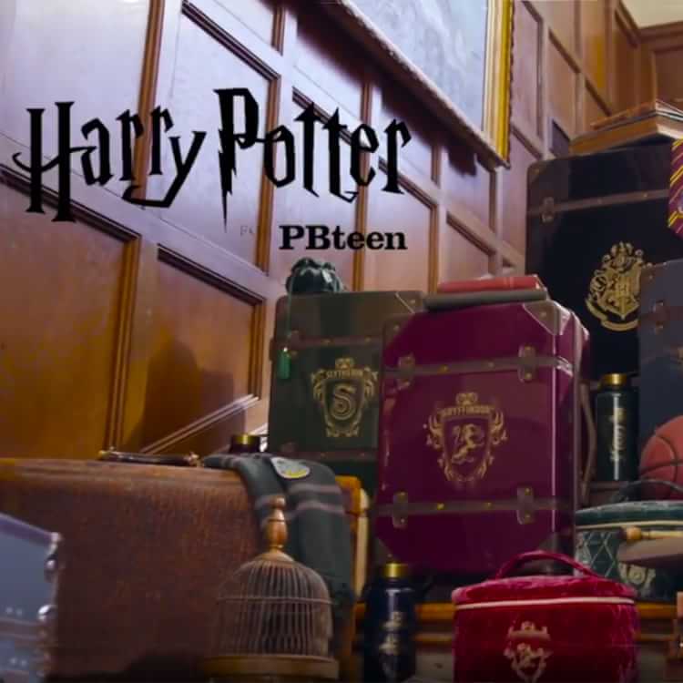 Harry Potter Bookshelf Wallpaper Pottery Barn Teen