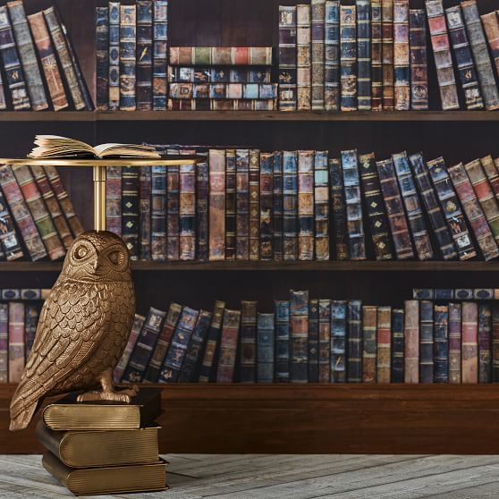 Harry Potter Bookshelf Wallpaper Pottery Barn Teen