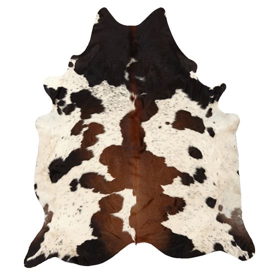 Black And Brown Spotted Cowhide Rug Teen Rug Pottery Barn Teen