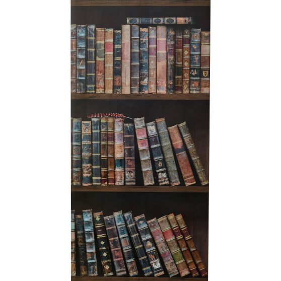 Harry Potter Bookshelf Wallpaper Pottery Barn Teen