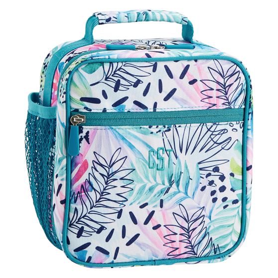 pbteen lunch box