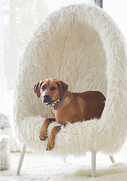 Eco-Lounger