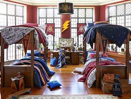 Explore Our New Looks