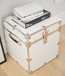 Dorm Trunks with Rubbed Brass Trim