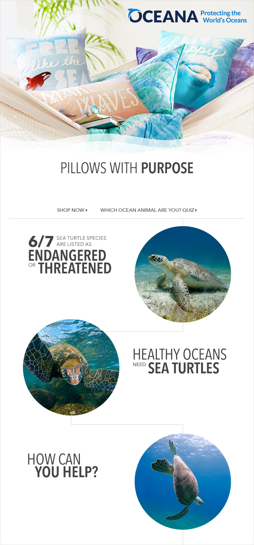Oceana - Protecting The World's Oceans