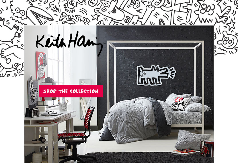 25 50 Keith Haring Shop Pottery Barn Teen